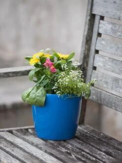 Viva Round Self-Watering Planter, 7" Diameter 7 Viva Round Self-Watering Planter, 7" Diameter -GardenPro Shop 8595222 1143 tif