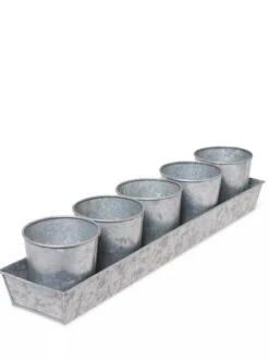 Galvanized Herb Planters With Rectangular Tray 7 Galvanized Herb Planters With Rectangular Tray -GardenPro Shop 8595903 3924 tif