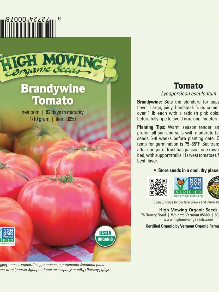 Brandywine Tomato Organic Seeds 1 Brandywine Tomato Organic Seeds