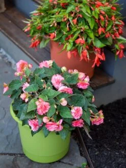 Eezy Gro Self-Watering Planters 9 Eezy Gro Self-Watering Planters -GardenPro Shop 8596427 0034 tif