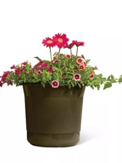 Eezy Gro Self-Watering Planters 10 Eezy Gro Self-Watering Planters -GardenPro Shop 8596427 108 tif