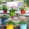 Eezy Gro Self-Watering Planters
