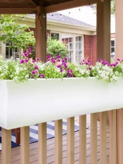 Valencia Window Box, 4' -GardenPro Shop 8596437 006V tif