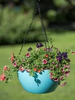 Viva Self-Watering Hanging Basket, 14" Diameter 8 Viva Self-Watering Hanging Basket, 14" Diameter -GardenPro Shop 8596442 0859 tif