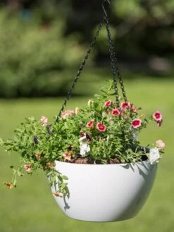 Viva Self-Watering Hanging Basket, 14" Diameter 7 Viva Self-Watering Hanging Basket, 14" Diameter -GardenPro Shop 8596442 0864 tif