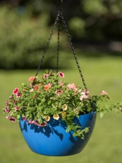 Viva Self-Watering Hanging Basket, 14" Diameter 9 Viva Self-Watering Hanging Basket, 14" Diameter -GardenPro Shop 8596442 0876 tif