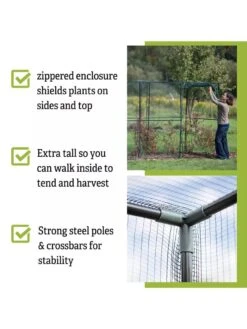 Crop Cage, 4' X 12' -GardenPro Shop 8596540 4