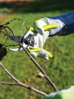 Gardener's Pro Pruner #2 -GardenPro Shop 8596605 032 tif