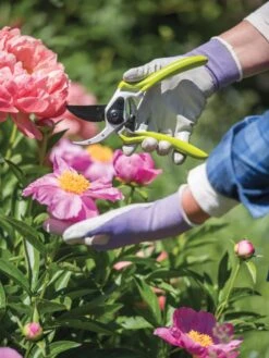 Gardener's Pro Pruner #2 -GardenPro Shop 8596605 1261 tif