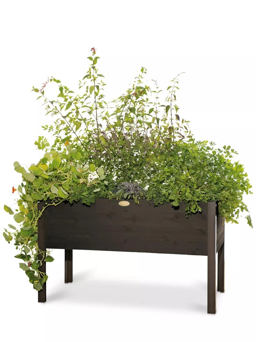 Eco-Stained Elevated Planter Box, 2'x4' 7 Eco-Stained Elevated Planter Box, 2'x4' - Image 7