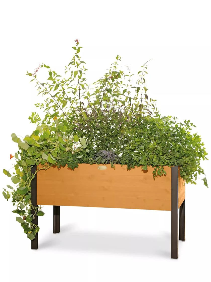 Eco-Stained Elevated Planter Box, 2'x4' 8 Eco-Stained Elevated Planter Box, 2'x4' - Image 8
