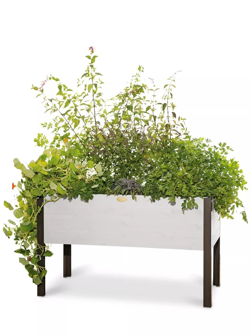 Eco-Stained Elevated Planter Box, 2'x4' 6 Eco-Stained Elevated Planter Box, 2'x4' - Image 6
