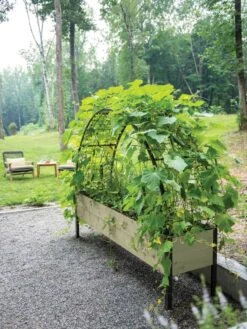 Self-Watering Elevated Planter Box, 2' X 8' 25 Self-Watering Elevated Planter Box, 2' X 8' -GardenPro Shop 8596760 0046 tif