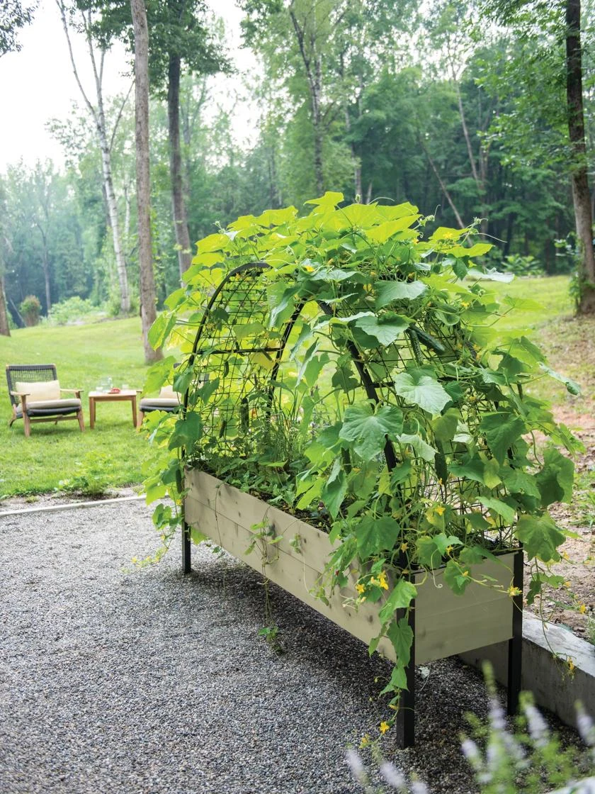 Self-Watering Elevated Planter Box, 2' X 8' 11 Self-Watering Elevated Planter Box, 2' X 8' - Image 11