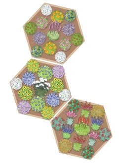 Pollinator Garden Bed -GardenPro Shop 8597000 Hummingbird Plan tif