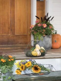 Galvanized Rim Planters 9 Galvanized Rim Planters -GardenPro Shop 8597379 1625 tif