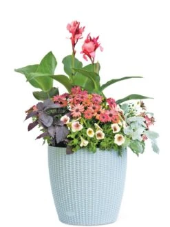 Weave Self-Watering Round Planter, 14" -GardenPro Shop 8597388 2175 tif
