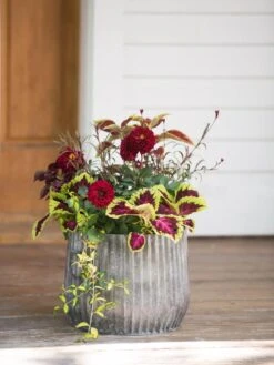 Galvanized Ribbed Planters 6 Galvanized Ribbed Planters -GardenPro Shop 8597435 1693 tif