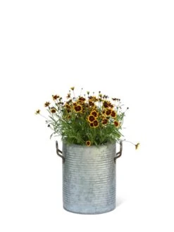 Galvanized Rim Planters 10 Galvanized Rim Planters -GardenPro Shop 8597442 1705 tif