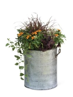 Galvanized Rim Planters 11 Galvanized Rim Planters -GardenPro Shop 8597443 1704 tif