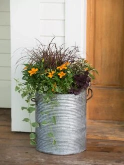 Galvanized Rim Planters 8 Galvanized Rim Planters -GardenPro Shop 8597443 1708 tif