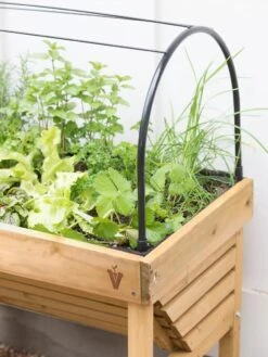 VegTrug® Mini Wallhugger Planter With Cover -GardenPro Shop 8598339 4004 tif
