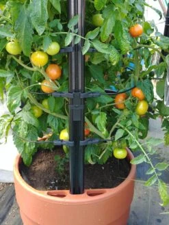 Gardener’s Victory Self-Watering Planter With Support System -GardenPro Shop 8598384 01EMP tif