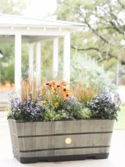 VegTrug™ Trough Planters -GardenPro Shop 8598402 08880 tif