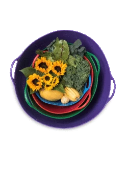 Colorful Tubtrug, 7 Gallon -GardenPro Shop 8599088 20GalTubTrug gif 1