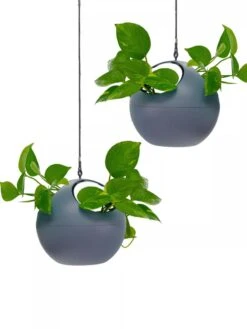 Exaco Euro Hanging Planters, Set Of 2 -GardenPro Shop 8599179 04V tif