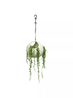 Exaco Euro Hanging Planters, Set Of 2 -GardenPro Shop 8599179 06V tif