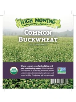 Common Buckwheat Organic Seeds -GardenPro Shop 8599871 04v