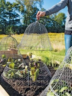 Chicken Wire Cloche With Extension 17 Chicken Wire Cloche With Extension -GardenPro Shop 8600116 0604 3 4