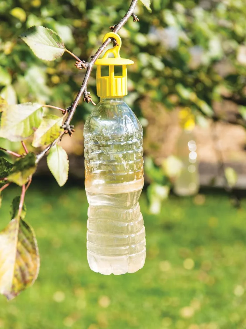 Bottle Insect Traps, Set Of 6 1 Bottle Insect Traps, Set Of 6