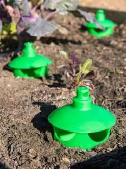 Slug And Snail Traps, Set Of 3 -GardenPro Shop 8600120 1788