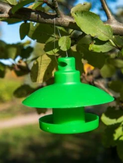 Slug And Snail Traps, Set Of 3 -GardenPro Shop 8600120 1792