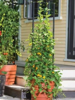 Gardener’s Victory Self-Watering Planter Garden With Vine Trellis -GardenPro Shop 8600175 0733 tif 1