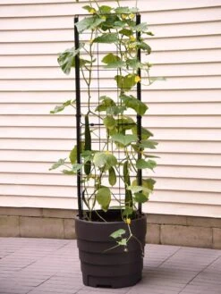 Gardener’s Victory Self-Watering Planter With Vine Trellis 18 Gardener’s Victory Self-Watering Planter With Vine Trellis -GardenPro Shop 8600177 9876 tif