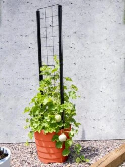 Gardener’s Victory Self-Watering Planter Garden With Vine Trellis -GardenPro Shop 8600178 05487 tif
