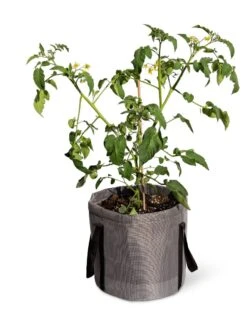 Reinforced Colorful Grow Bags -GardenPro Shop 8600229 0944 tif