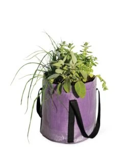 Reinforced Colorful Grow Bags -GardenPro Shop 8600230 0948 tif