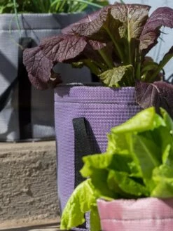 Reinforced Colorful Grow Bags -GardenPro Shop 8600230 20013 tif