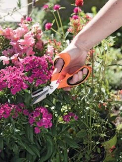 Gardener's Multi Purpose Scissors -GardenPro Shop 8608655 19551 tif