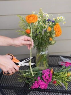 Gardener's Multi Purpose Scissors -GardenPro Shop 8608655 19555 tif