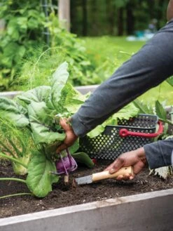 Gardener's Lifetime Hori Hori Knife 7 Gardener's Lifetime Hori Hori Knife -GardenPro Shop 8608888 0422 tif