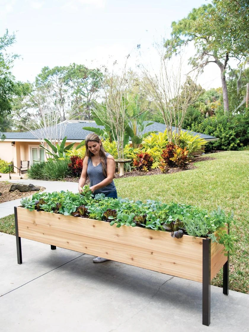 Self-Watering Elevated Planter Box, 2' X 8' 1 Self-Watering Elevated Planter Box, 2' X 8'