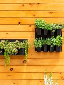 8 Pot Metal Wall Planter 7 8 Pot Metal Wall Planter -GardenPro Shop 8609195 6250 tif