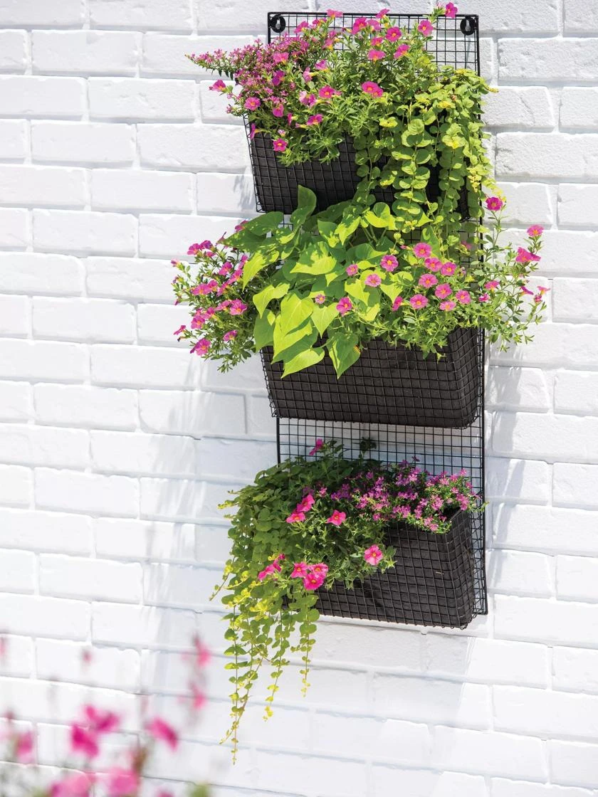 Wire Wall Pockets Vertical Gardens 1 Wire Wall Pockets Vertical Gardens