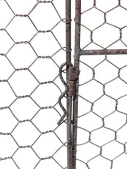 Chicken Wire Cloche Extension -GardenPro Shop 8609412 6318 tif 2