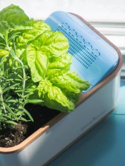 Dewplanter -GardenPro Shop 8609512 04V